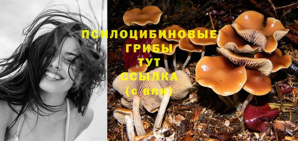 стаф Армянск