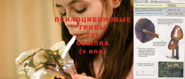 стаф Армянск