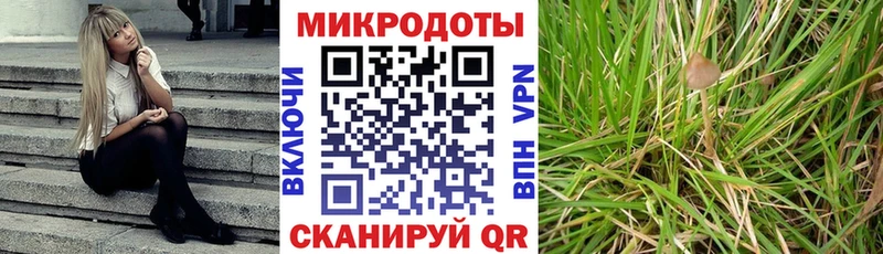 Галлюциногенные грибы мухоморы  купить наркотики цена  кракен сайт  Лахденпохья 