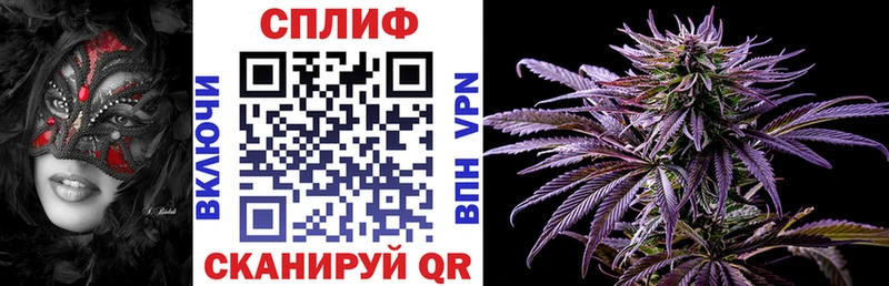 купить наркоту  Лахденпохья  Конопля SATIVA & INDICA 
